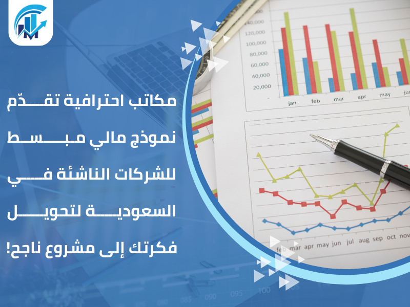 نموذج مالي مبسط